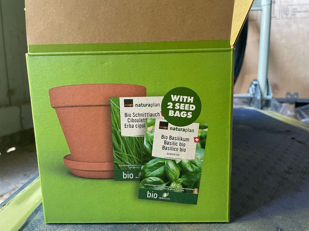2er Terracotta Topf-Set mit Basilikum- und Schnittlauchsamen