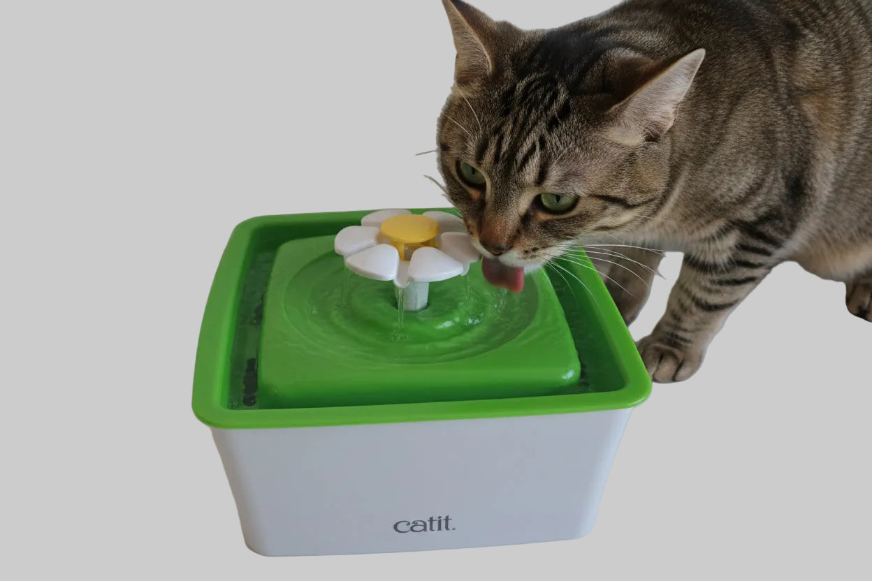 Catit Katzenzubehör Flower Mini Trinkbrunnen