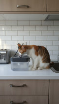 Else Pet Mini-Trinkbrunnen für Haustiere