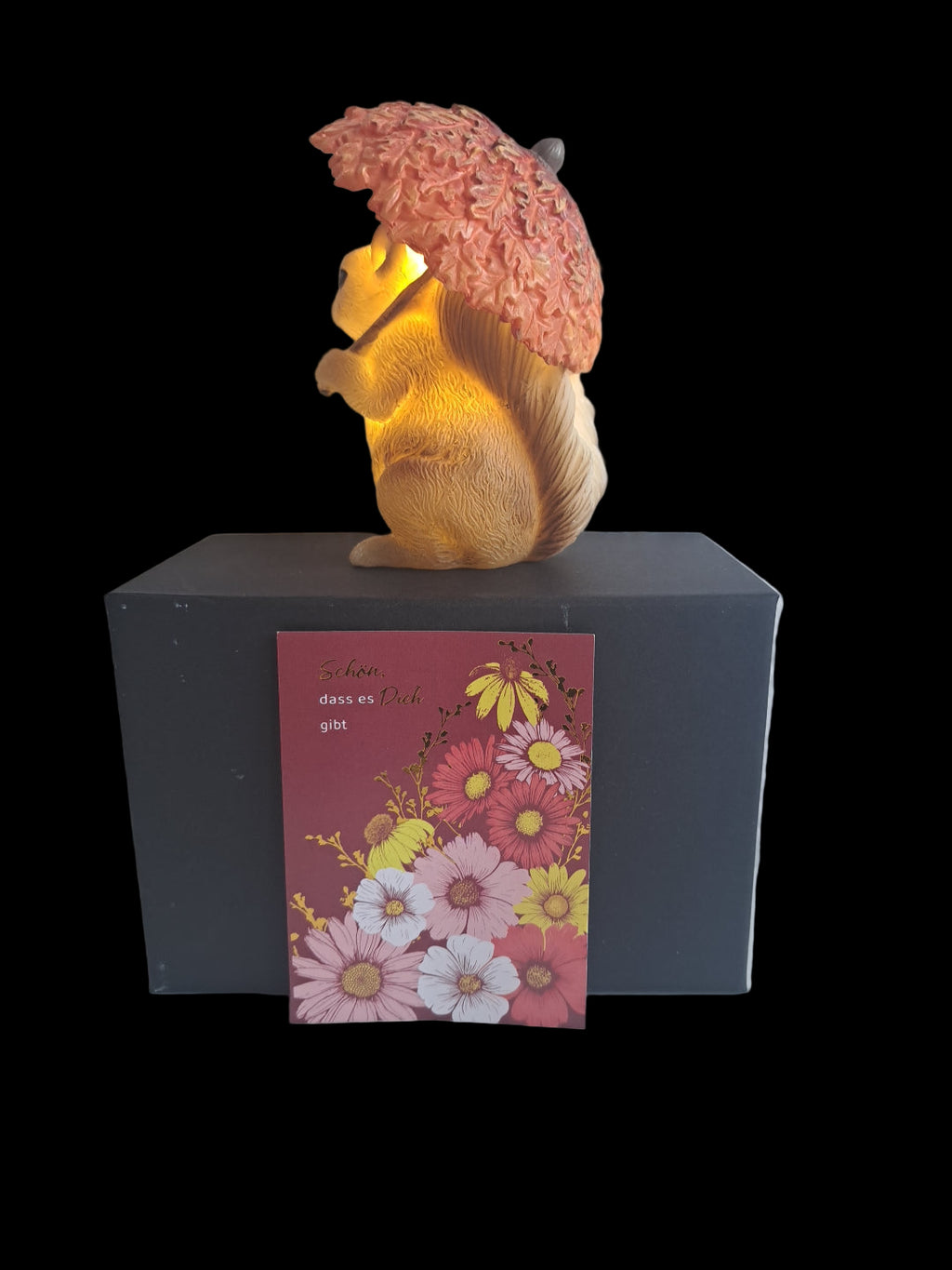 Geschenkeset LED Eichhörnchen Alfi