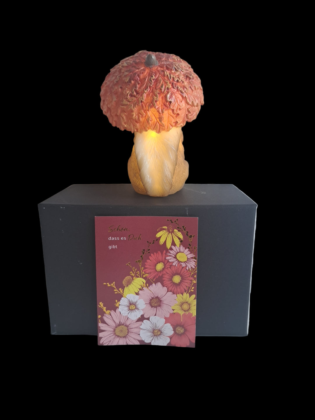 Geschenkeset LED Eichhörnchen Alfi