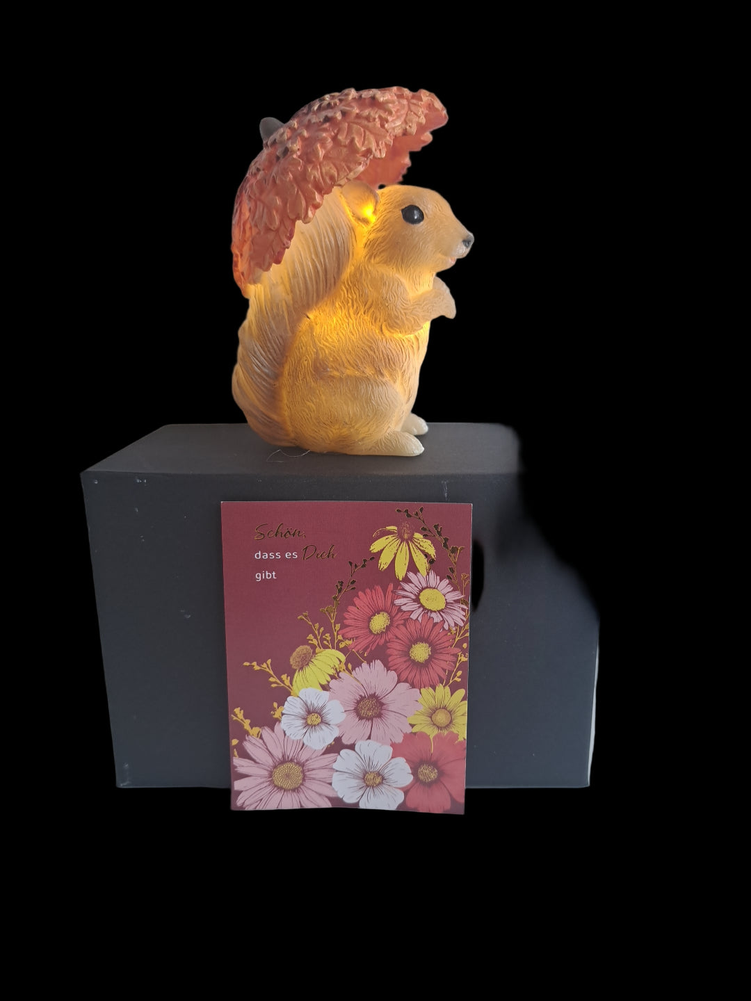 Geschenkeset LED Eichhörnchen Alfi