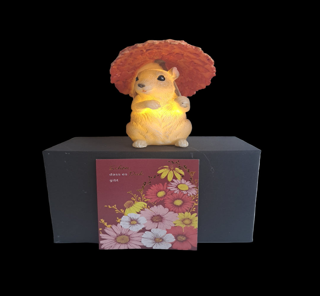 Geschenkeset LED Eichhörnchen Alfi
